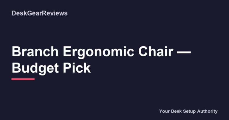 Branch Ergonomic Chair Budget Pick